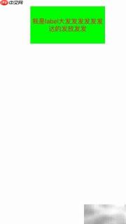 iOS中Label的使用技巧