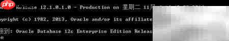 Oracle数据导入导出指南