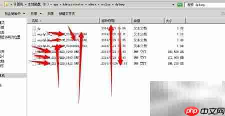 Oracle数据导入导出指南