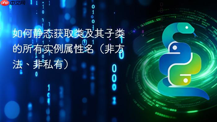如何静态获取类及其子类的所有实例属性名(非方法、非私有)