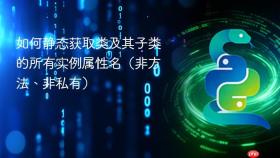 如何静态获取类及其子类的所有实例属性名（非方法、非私有）