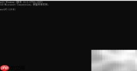创建Net Core Web应用