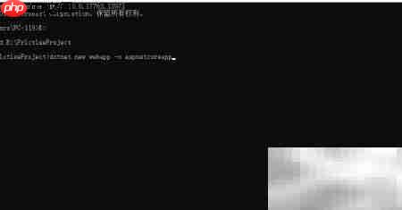 创建Net Core Web应用