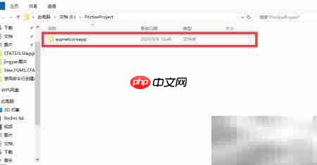 创建Net Core Web应用