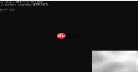 创建Net Core Web应用