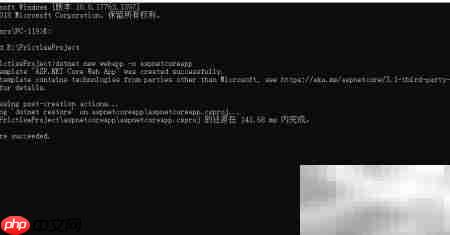 创建Net Core Web应用