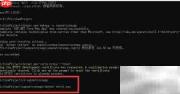 创建Net Core Web应用