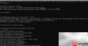 创建Net Core Web应用