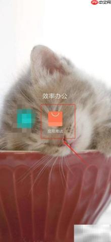 波波视频下载方法