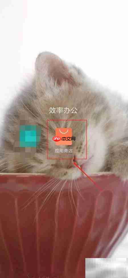 波波视频下载方法