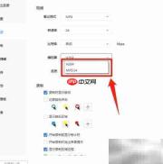 专业截屏王视频编码设置指南
