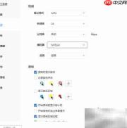 专业截屏王视频编码设置指南