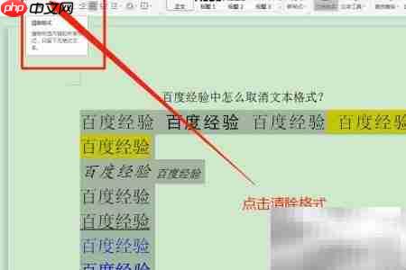 取消文本格式的简单方法