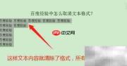 取消文本格式的简单方法