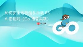 如何安全地存储与加载 RSA 密钥对(Go 语言实践)