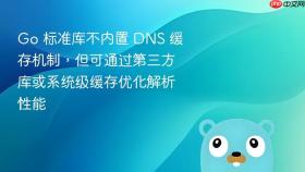 Go 标准库不内置 DNS 缓存机制，但可通过第三方库或系统级缓存优化解析性能