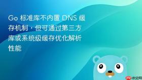 Go 标准库不内置 DNS 缓存机制,但可通过第三方库或系统级缓存优化解析性能