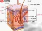 超声刀副作用三步解析