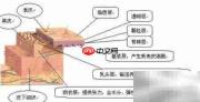 超声刀副作用三步解析