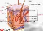 超声刀副作用三步解析