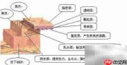 超声刀副作用三步解析