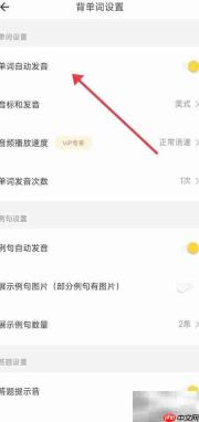 开启疯狂背单词自动发音