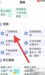 大病门诊报销办理指南