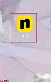 Nice卖鞋全流程解析