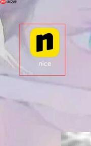 Nice卖鞋全流程解析