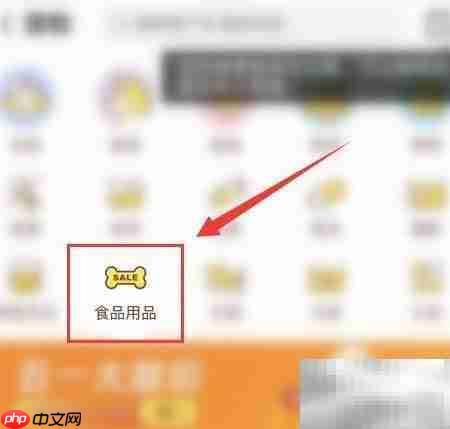 疫情期间狗粮短缺应对指南