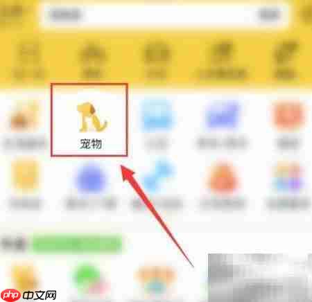 疫情期间狗粮短缺应对指南
