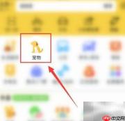 疫情期间狗粮短缺应对指南