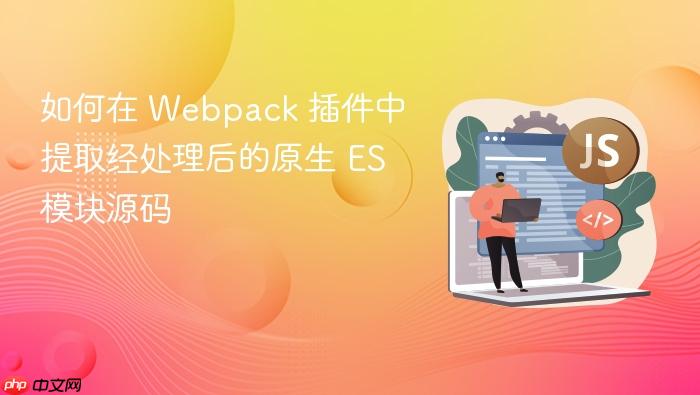 如何在 Webpack 插件中提取经处理后的原生 ES 模块源码
