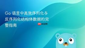 Go 语言中高效序列化与反序列化结构体数据的完整指南