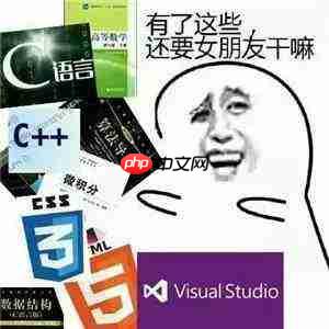 Visual Studio如何查看高级选项