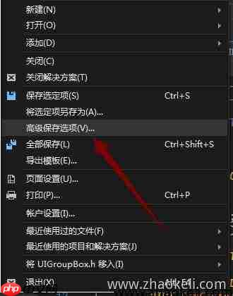 Visual Studio如何查看高级选项