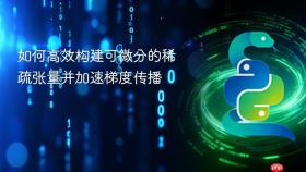 如何高效构建可微分的稀疏张量并加速梯度传播
