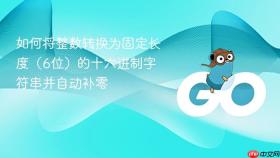 如何将整数转换为固定长度(6位)的十六进制字符串并自动补零