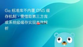 Go 标准库不内置 DNS 缓存机制，需借助第三方库或系统级缓存实现高效解析