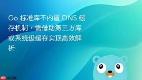 Go 标准库不内置 DNS 缓存机制,需借助第三方库或系统级缓存实现高效解析