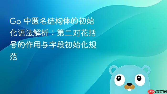 Go 中匿名结构体的初始化语法解析：第二对花括号的作用与字段初始化规范
