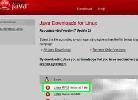 RPM Linux安装Java指南
