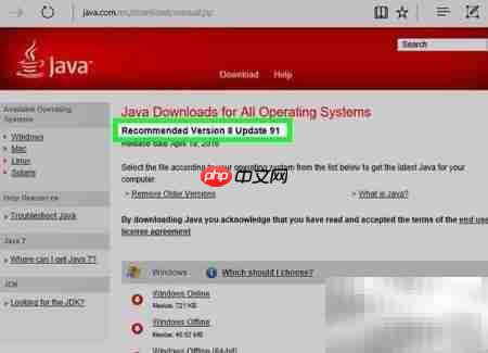 RPM Linux安装Java指南