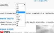 SWF转AVI格式转换方法