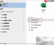 EXCEL无法删除测试插件