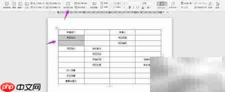 WPS2019制作预算申请表
