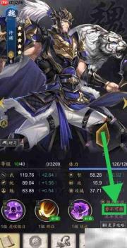 神将三国许褚势不可挡查看方法