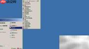 Windows Server 2003启动DNS服务