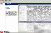 Windows Server 2003启动DNS服务