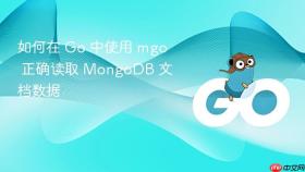 如何在 Go 中使用 mgo 正确读取 MongoDB 文档数据